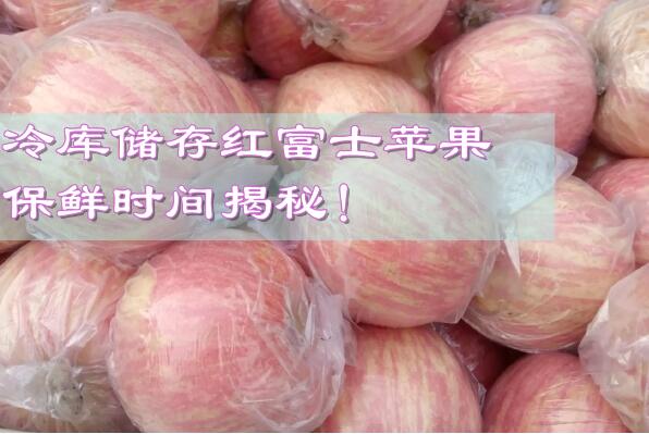 冷庫儲存紅富士蘋果，保鮮時間揭秘!