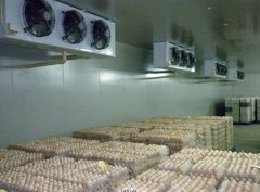 建一個冷庫，用來存50噸雞蛋要多少錢
