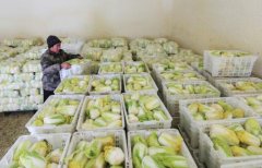 5000噸蔬菜保鮮庫(kù)的造價(jià)因素有哪些
