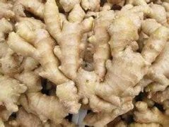 建個(gè)1000噸生姜冷庫(kù)大概需要投資多少錢(qián)？