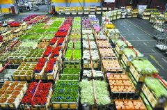 800平米鮮花保鮮冷庫(kù)安裝費(fèi)用是多少？