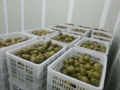 4000立方氣調(diào)冷庫(kù)安裝要多少錢(qián)？