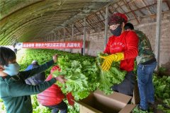 一場疫情，突出了冷庫的重要性！