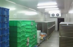 建造一個小型低溫食品冷庫預(yù)算多少