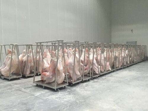  1000平牛肉冷藏庫造價多少錢，低溫凍肉冷庫建造