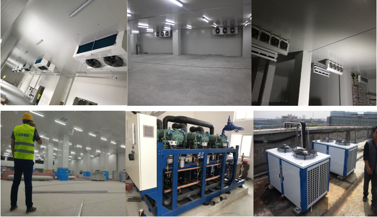 http://www.szzdxkj.net/gongchenganli/shipin/1230.html
