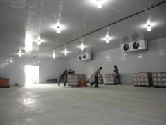 10000噸果蔬氣調庫建造需要多大面積，前期大概預算是多少？